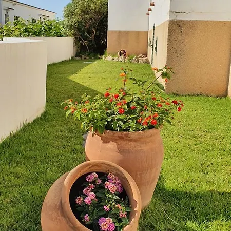 Casa Pelicano *